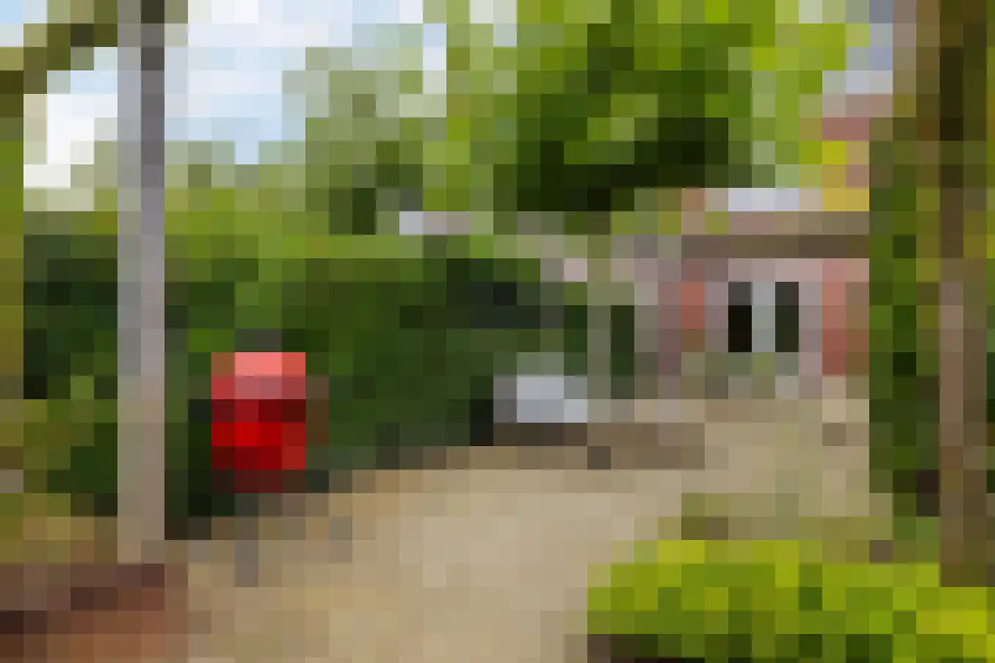 De Skâns 20 Leeuwarden thumbnail 45