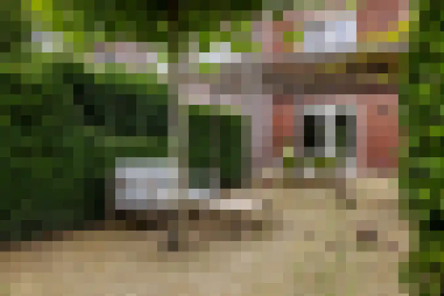 De Skâns 20 Leeuwarden thumbnail 46
