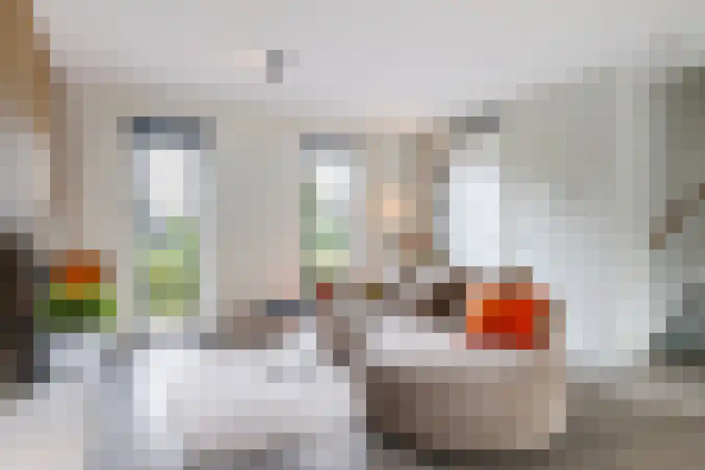 De Skâns 20 Leeuwarden thumbnail 6