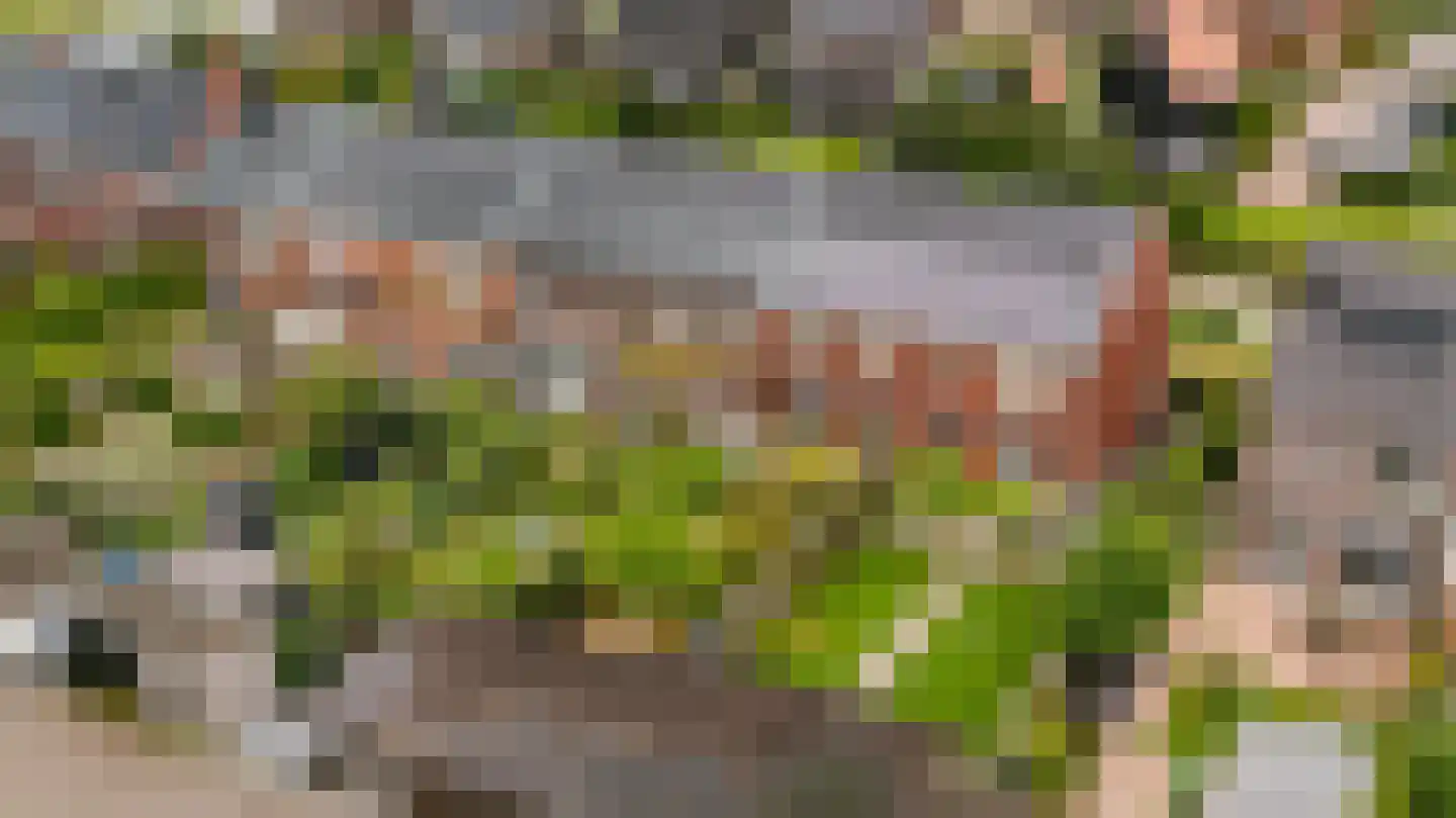 De Skâns 20 Leeuwarden thumbnail 61