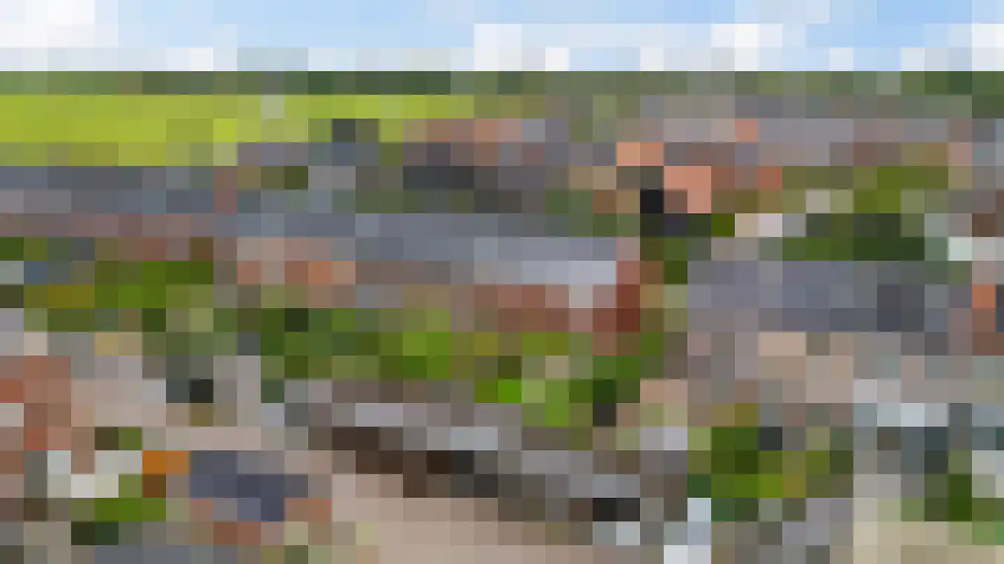 De Skâns 20 Leeuwarden thumbnail 62