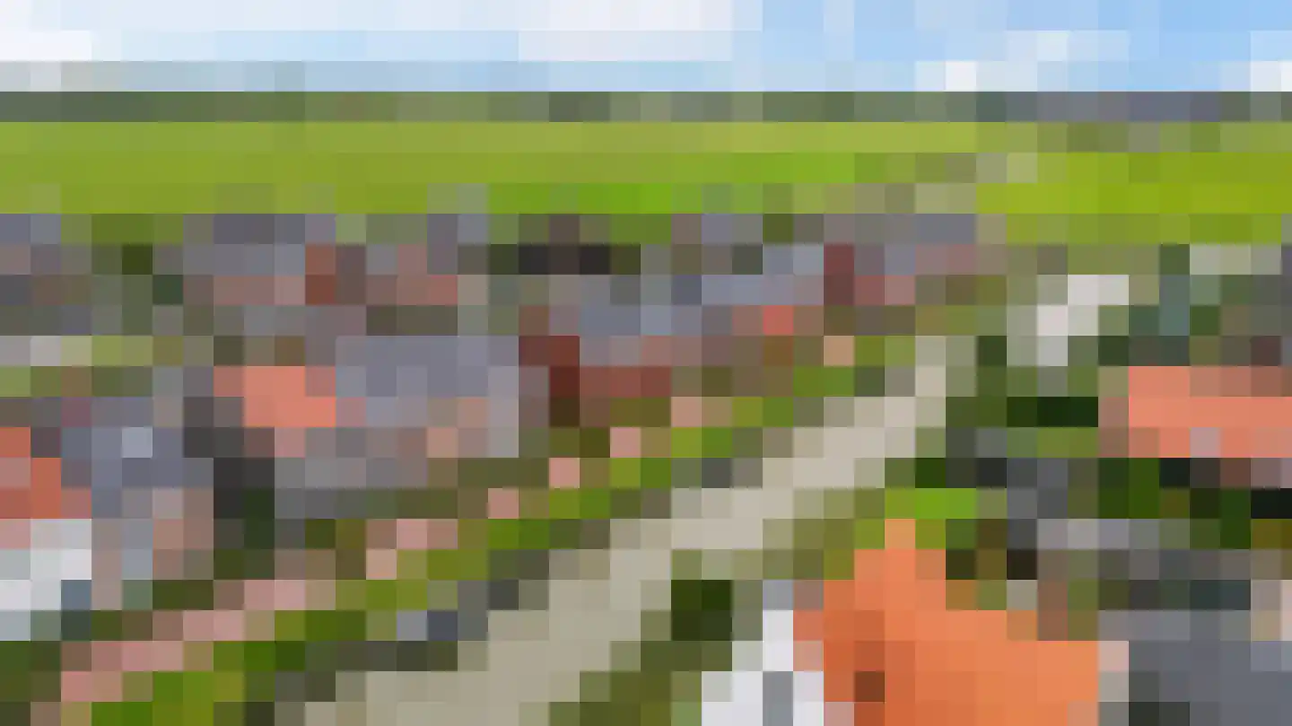De Skâns 20 Leeuwarden thumbnail 66