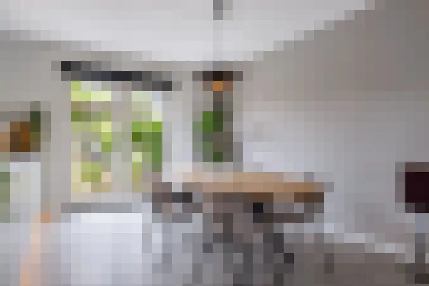 De Skâns 20 Leeuwarden thumbnail 8