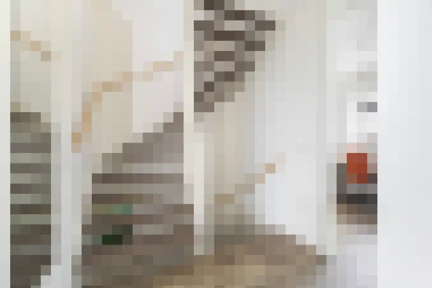 De Skâns 34 Leeuwarden thumbnail 19