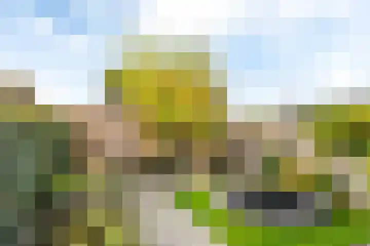 De Skâns 38 Leeuwarden thumbnail 22