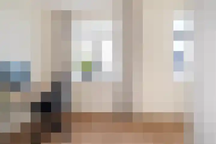 De Skâns 38 Leeuwarden thumbnail 32