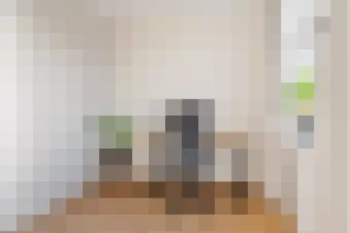 De Skâns 38 Leeuwarden thumbnail 33
