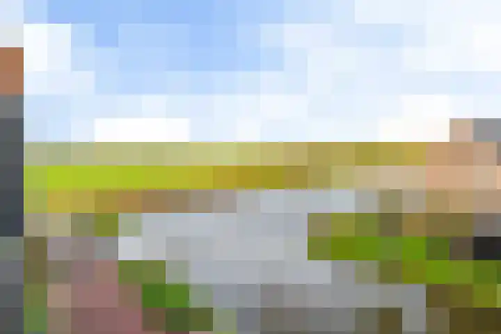 De Skâns 38 Leeuwarden thumbnail 43