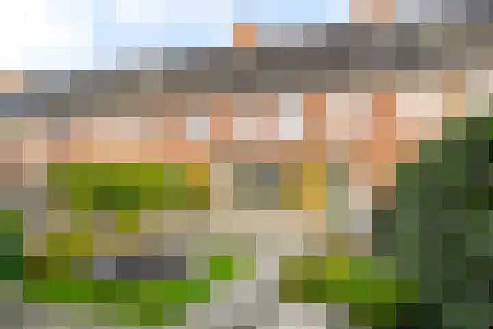De Skâns 38 Leeuwarden thumbnail 5