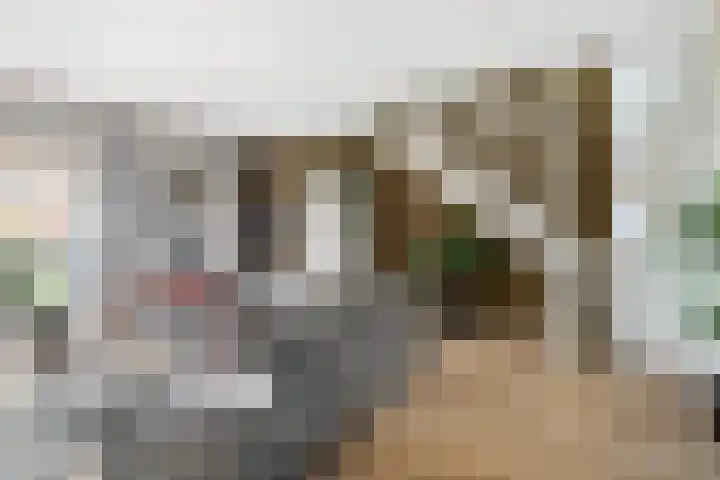De Skâns 7 Leeuwarden thumbnail 11