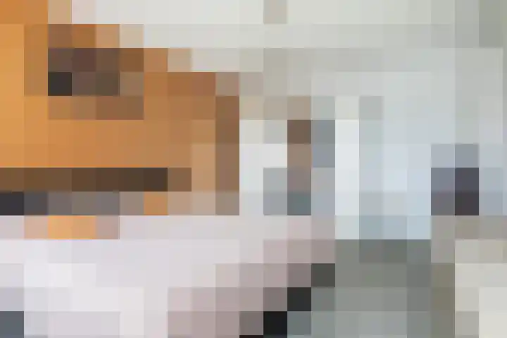 De Skâns 7 Leeuwarden thumbnail 22