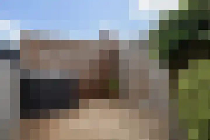 De Skâns 7 Leeuwarden thumbnail 32