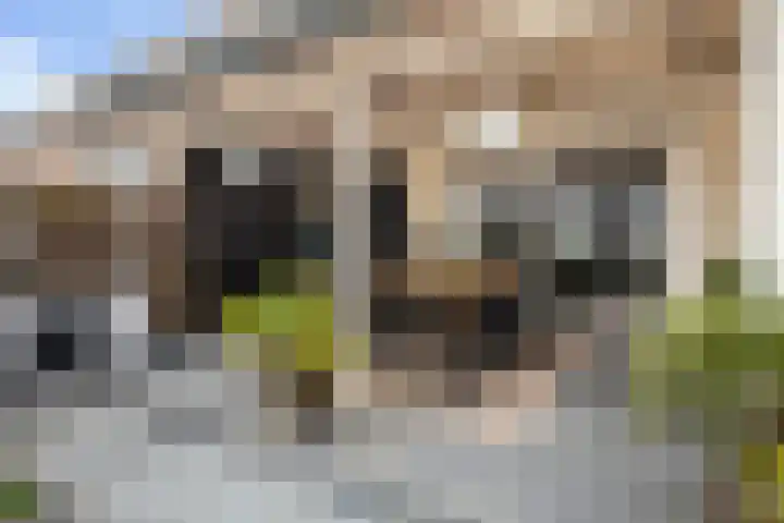De Skâns 7 Leeuwarden thumbnail 34