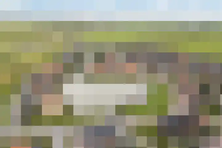 De Skâns 7 Leeuwarden thumbnail 38