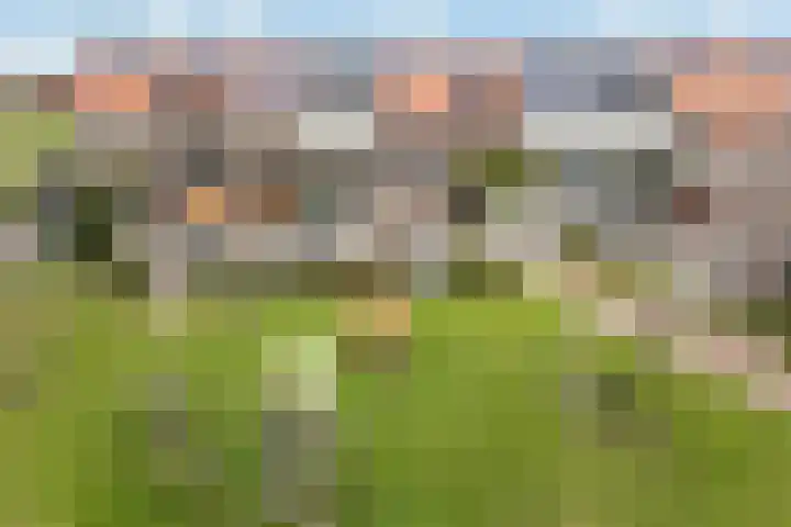 De Skâns 7 Leeuwarden thumbnail 43