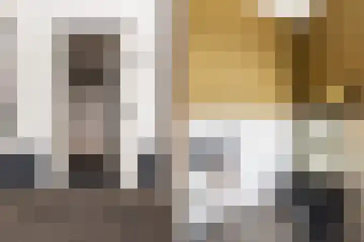 De Skâns 7 Leeuwarden thumbnail 6