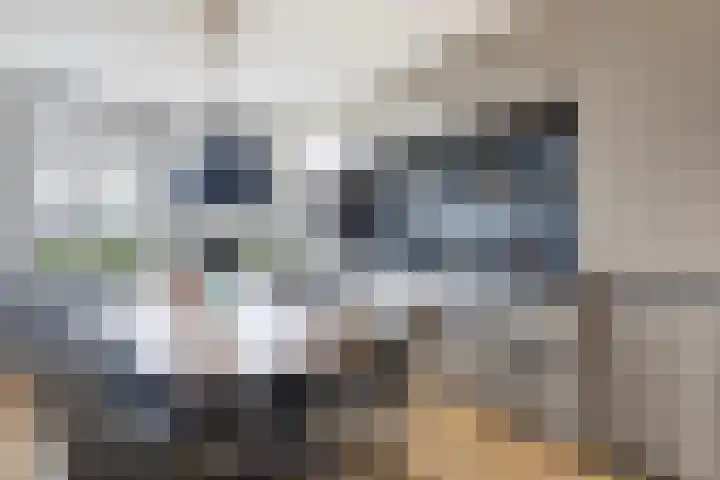De Skâns 7 Leeuwarden thumbnail 8