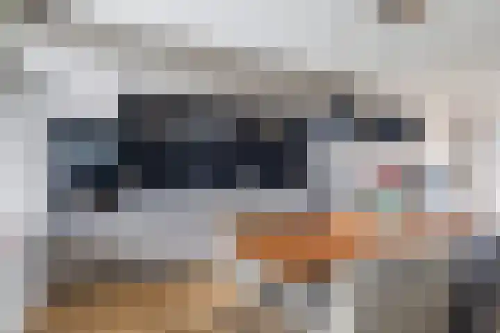 De Skâns 7 Leeuwarden thumbnail 9