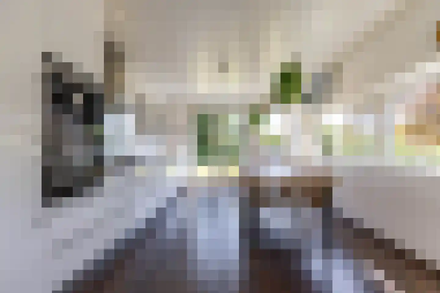 De Skeakel 5 Beetsterzwaag thumbnail 16