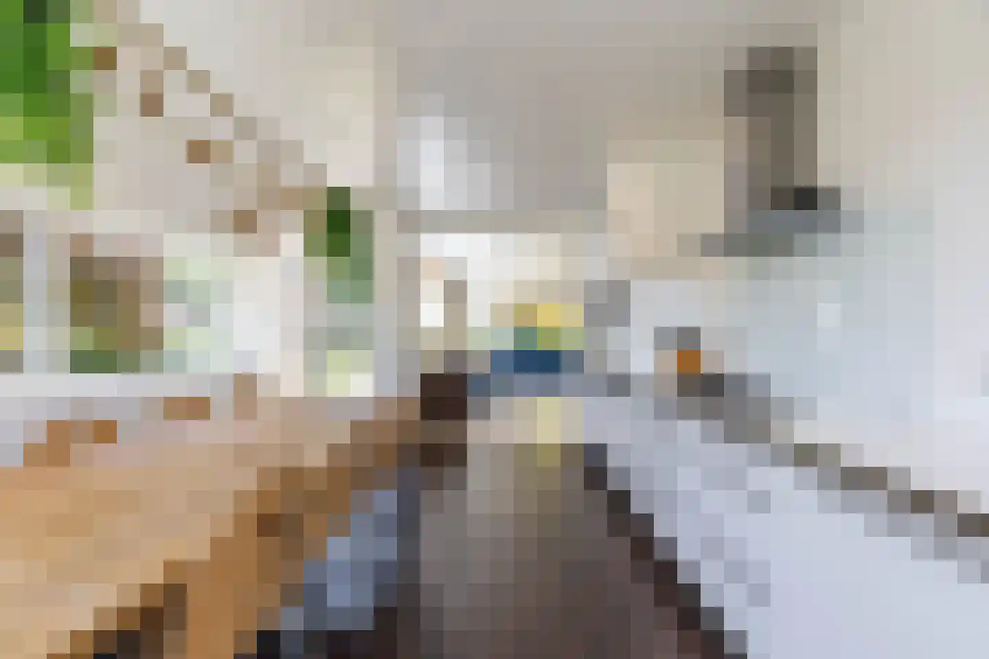De Skeakel 5 Beetsterzwaag thumbnail 21