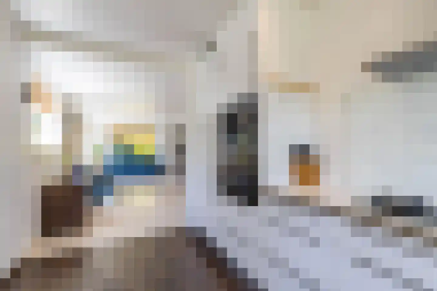 De Skeakel 5 Beetsterzwaag thumbnail 23