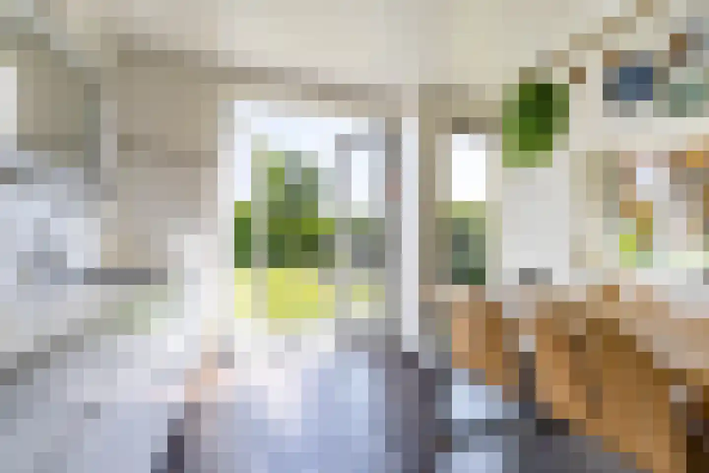 De Skeakel 5 Beetsterzwaag thumbnail 24