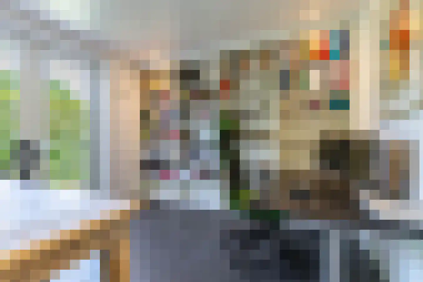 De Skeakel 5 Beetsterzwaag thumbnail 25