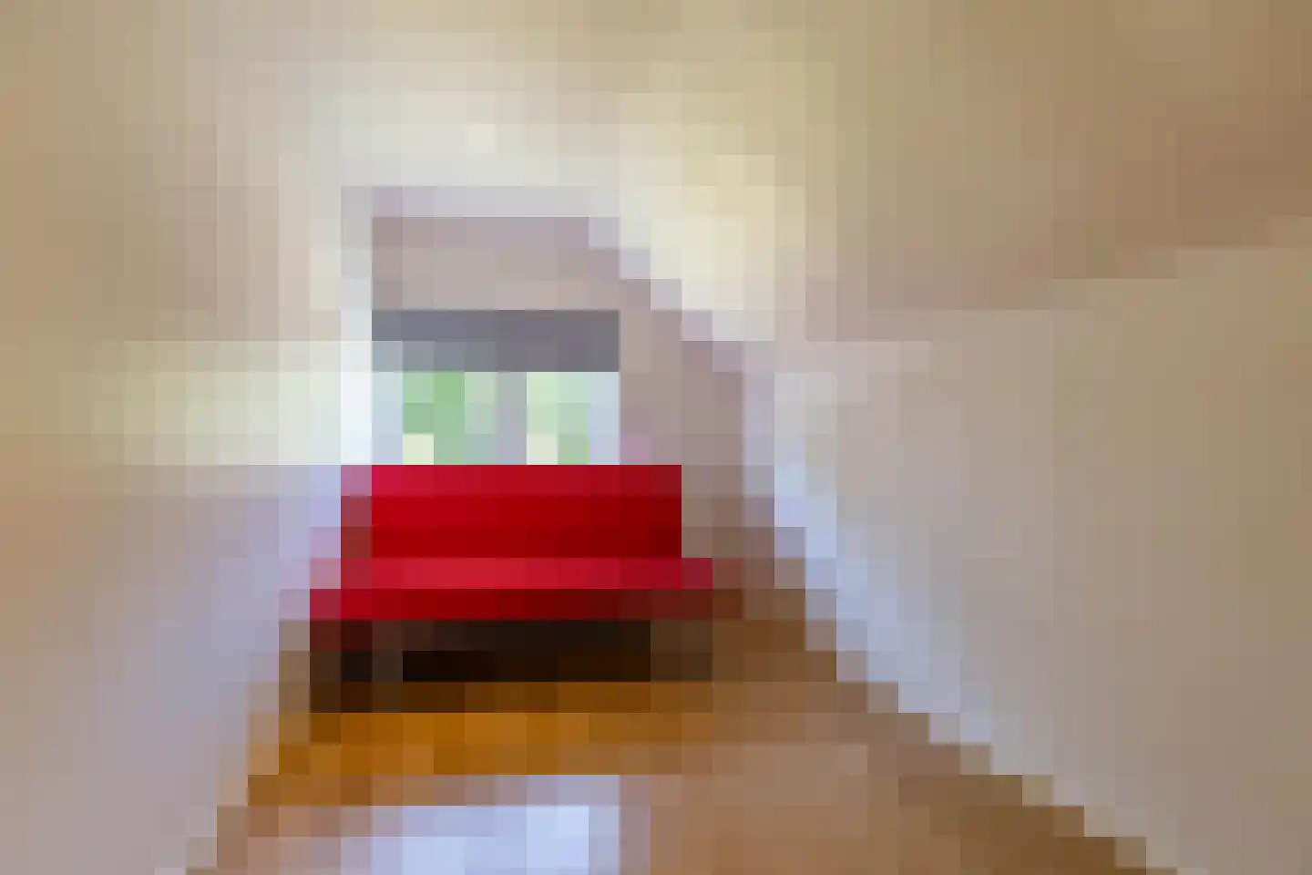 De Skeakel 5 Beetsterzwaag thumbnail 29