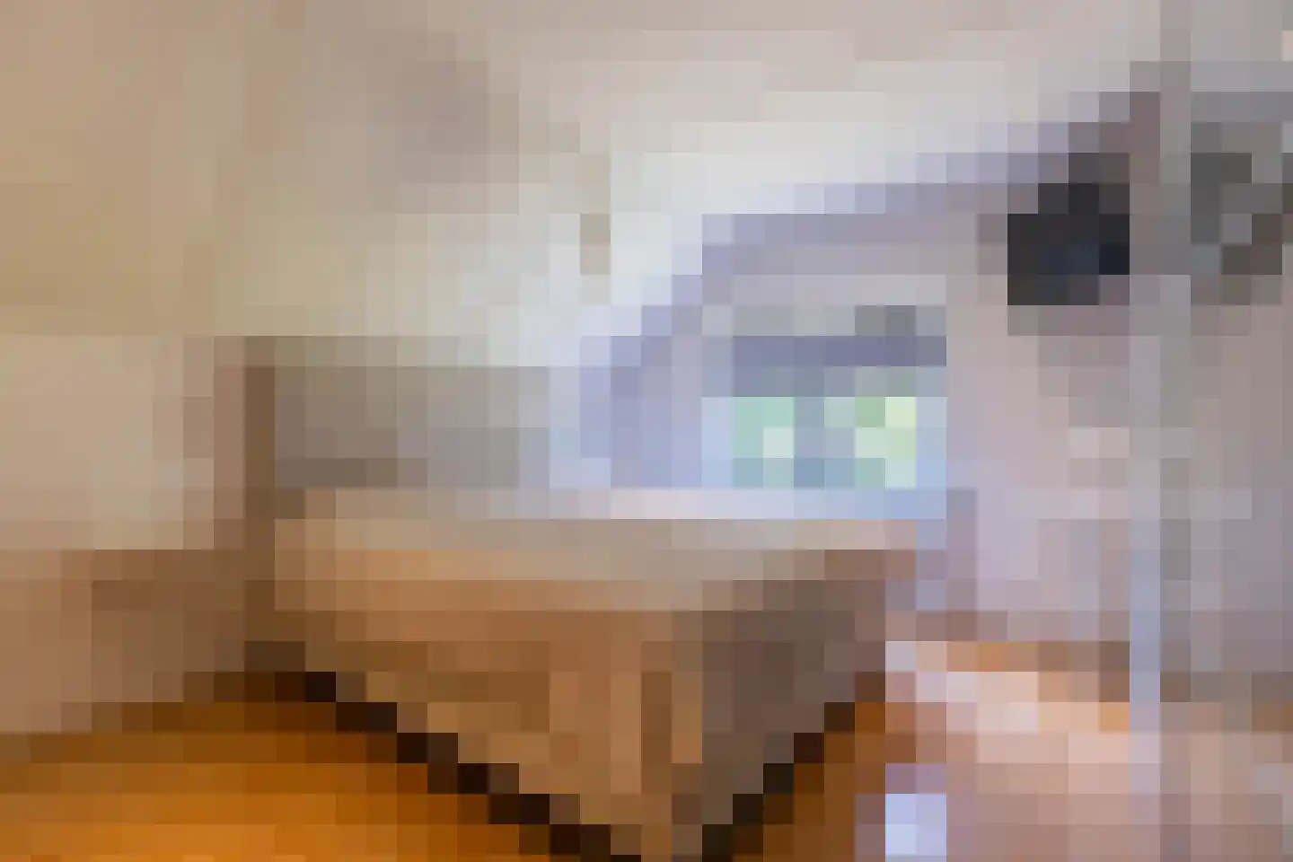 De Skeakel 5 Beetsterzwaag thumbnail 30