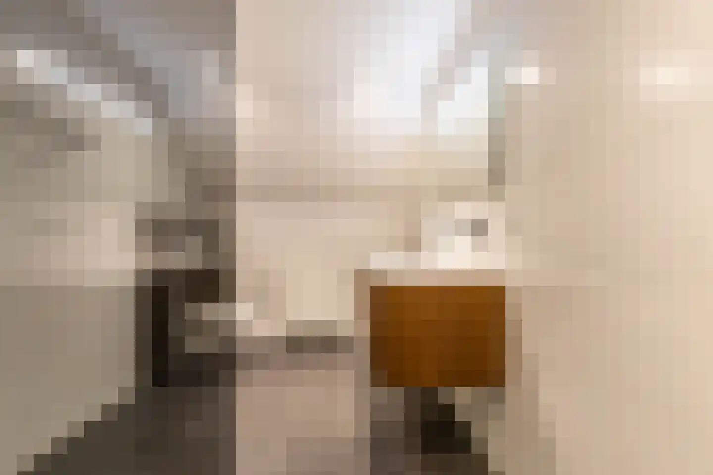 De Skeakel 5 Beetsterzwaag thumbnail 33