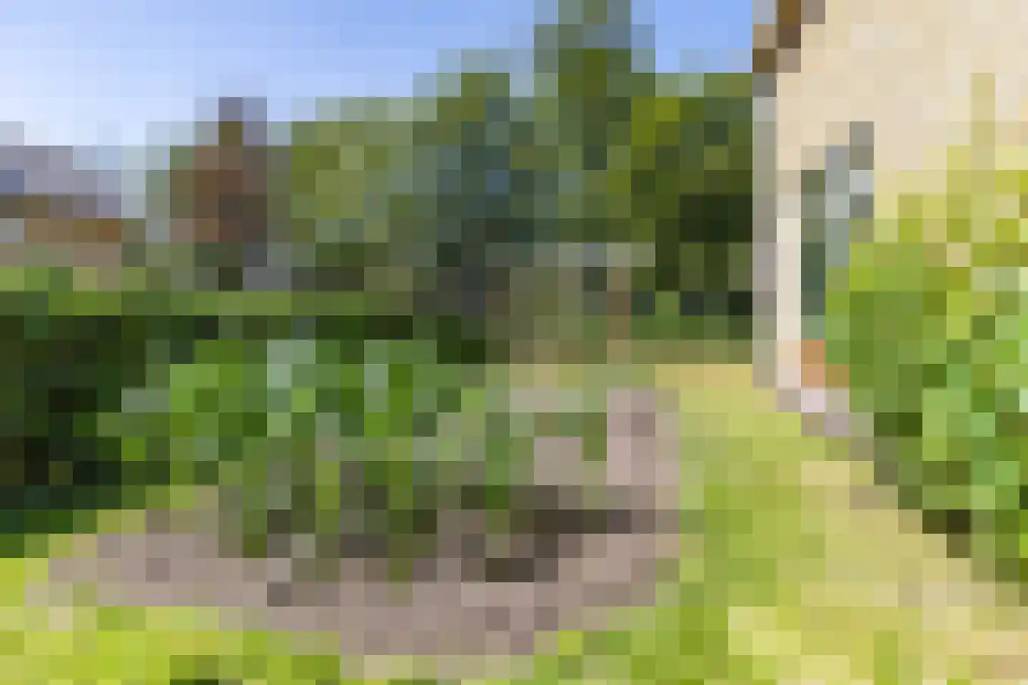 De Skeakel 5 Beetsterzwaag thumbnail 45