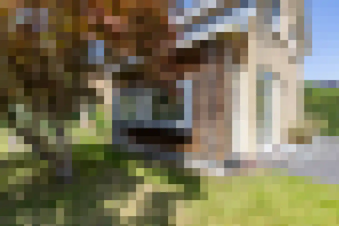 De Skeakel 5 Beetsterzwaag thumbnail 47