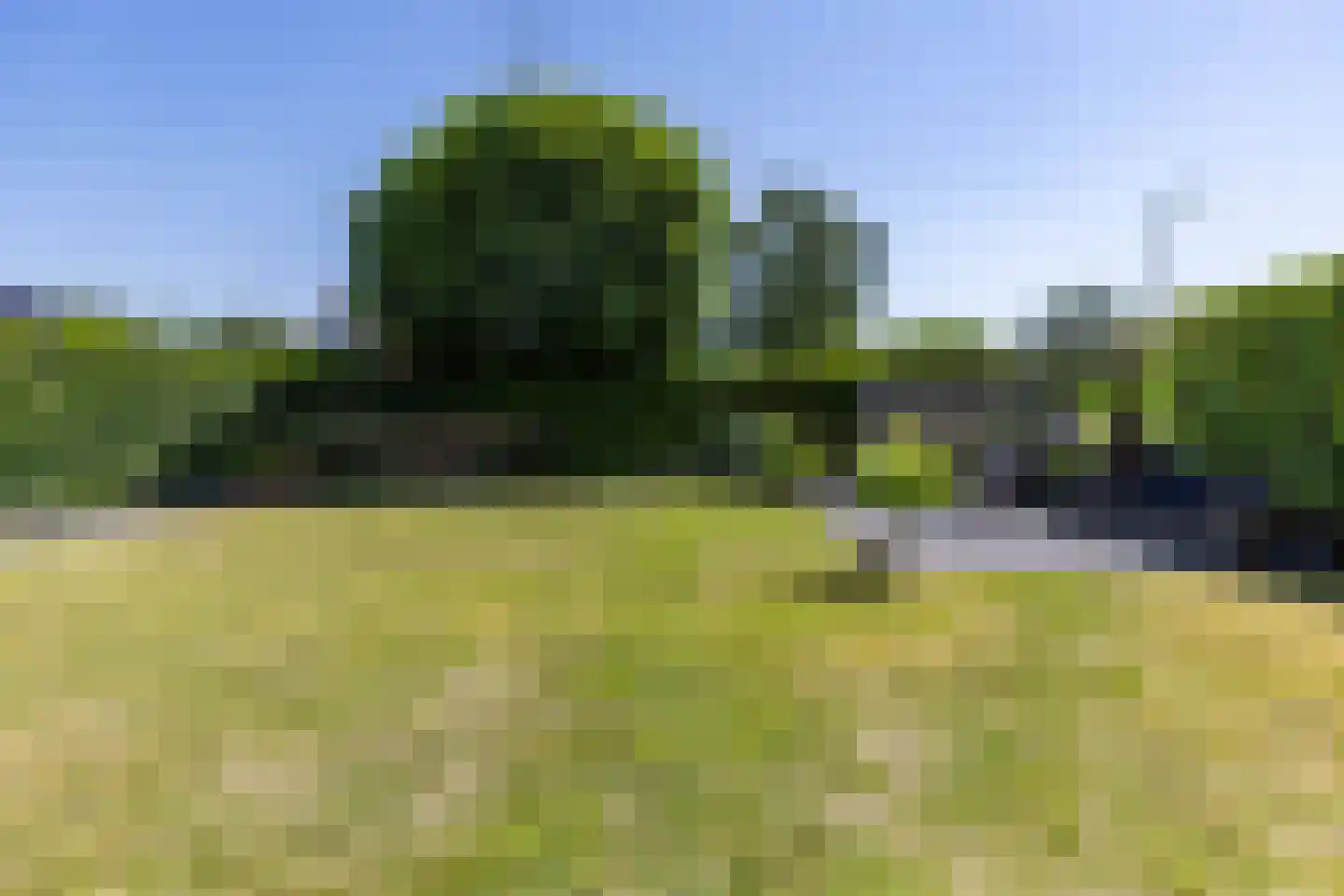 De Skeakel 5 Beetsterzwaag thumbnail 54