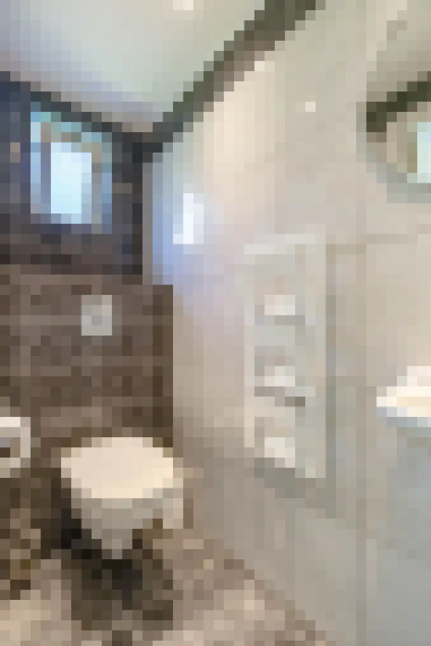 De Skeakel 5 Beetsterzwaag thumbnail 8
