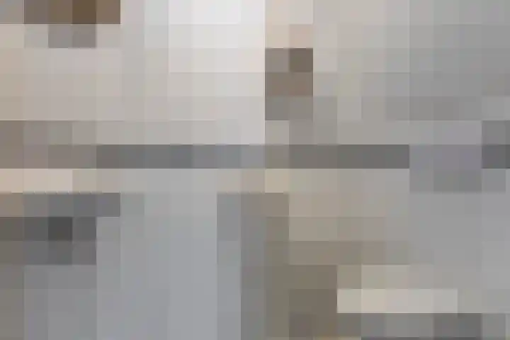 De Skeakels 3 Grou thumbnail 17