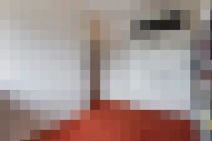 De Skeakels 3 Grou thumbnail 24