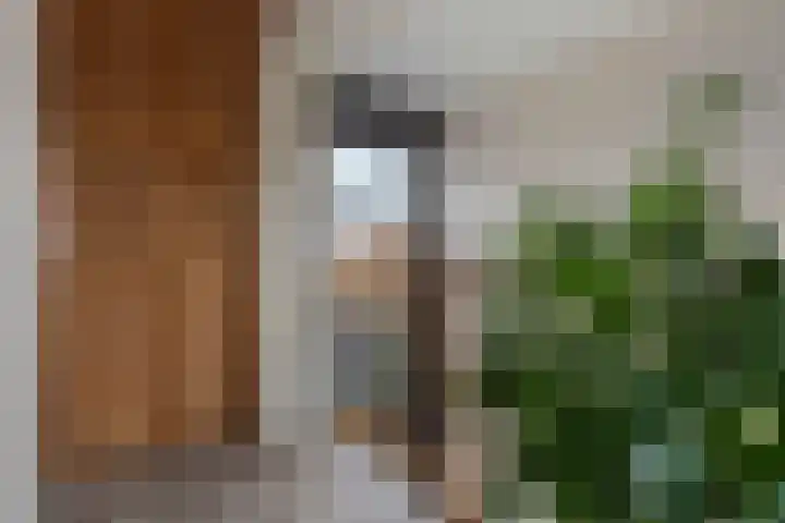 De Skeakels 3 Grou thumbnail 30