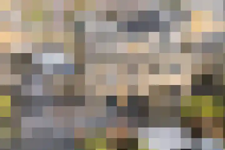 De Skeakels 3 Grou thumbnail 44