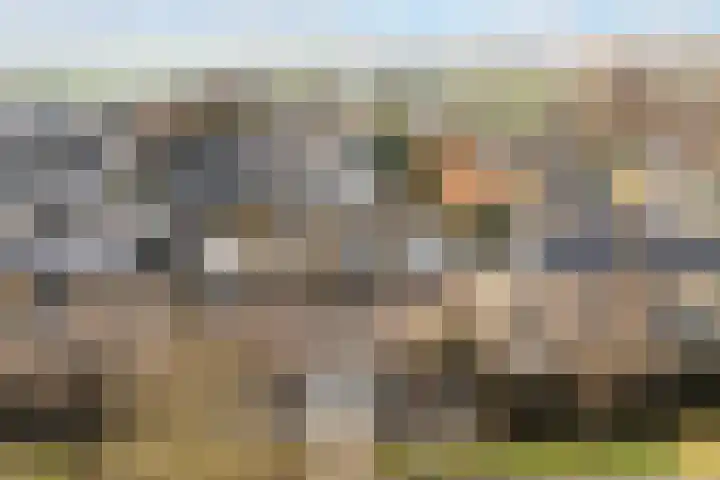 De Skeakels 3 Grou thumbnail 45