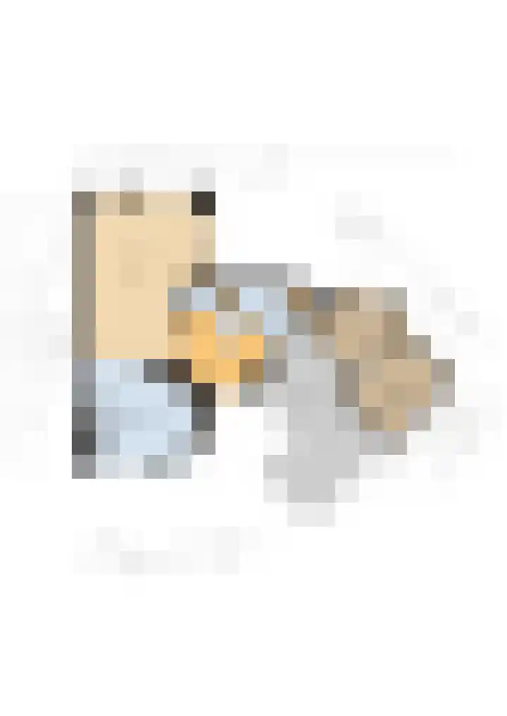 De Skeakels 3 Grou thumbnail 52