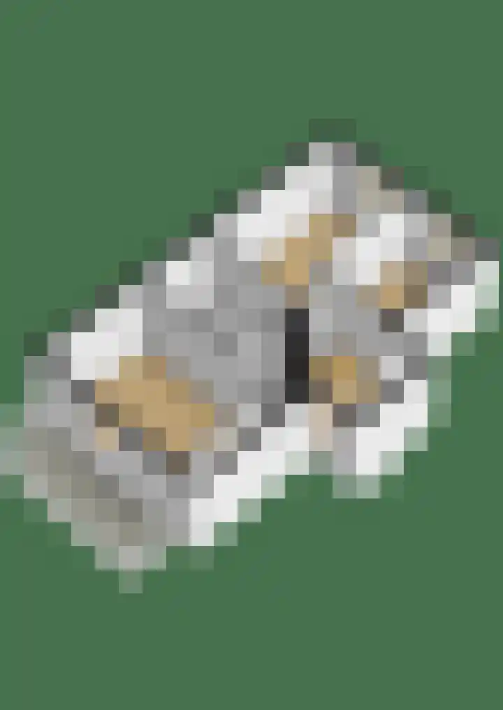 De Skeakels 3 Grou thumbnail 57