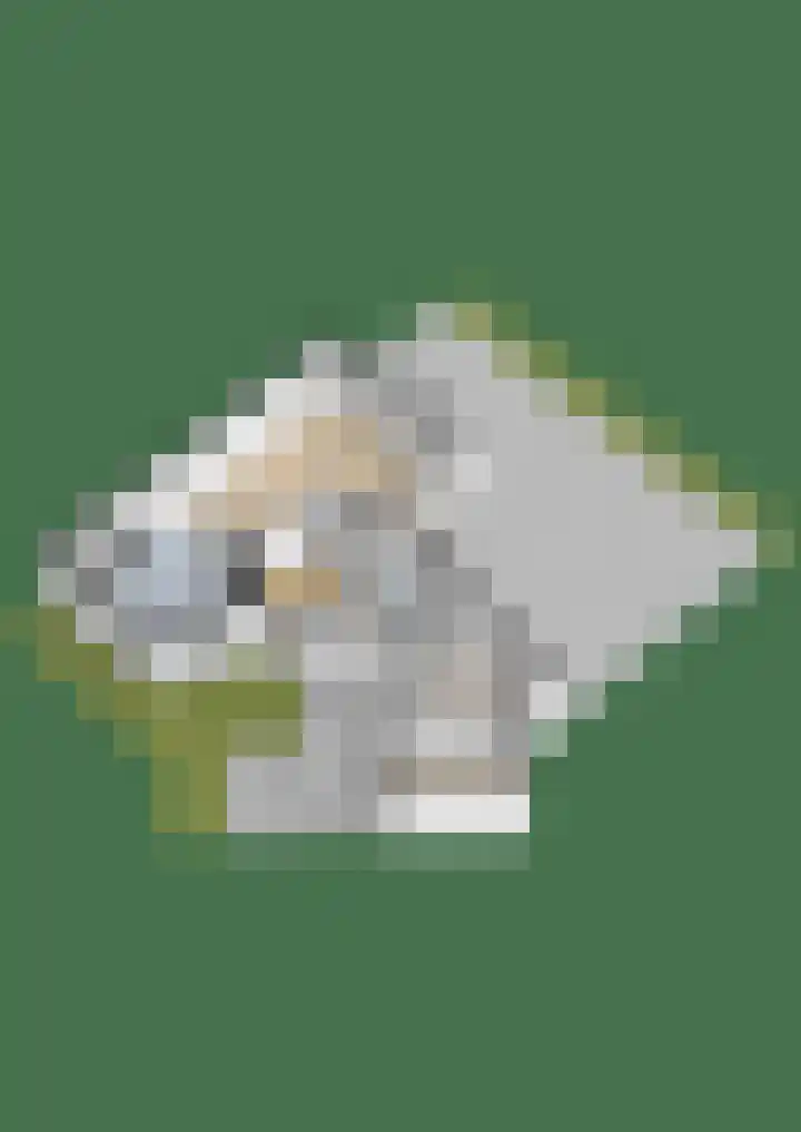 De Skeakels 3 Grou thumbnail 59
