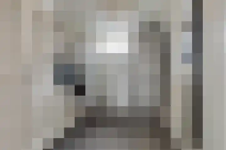 De Skeauwen 25 Ureterp thumbnail 13