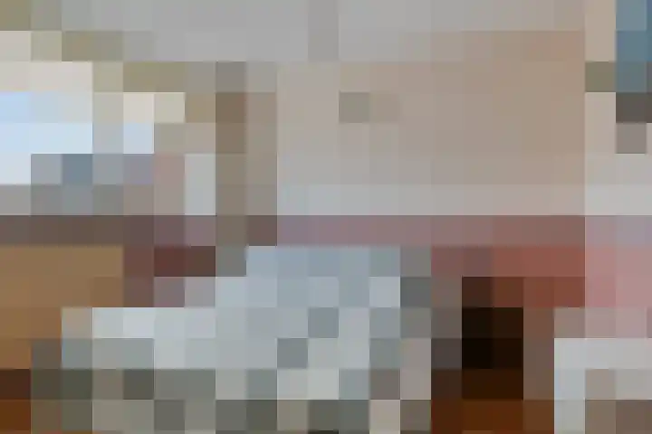 De Skeauwen 25 Ureterp thumbnail 17