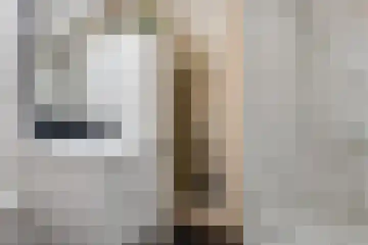 De Skeauwen 25 Ureterp thumbnail 23