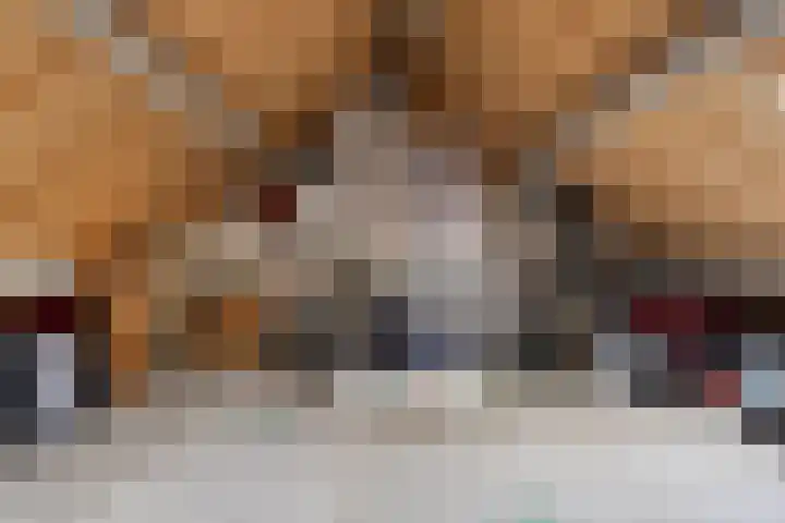 De Skeauwen 25 Ureterp thumbnail 25