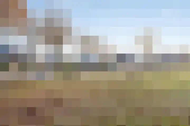 De Skeauwen 25 Ureterp thumbnail 31