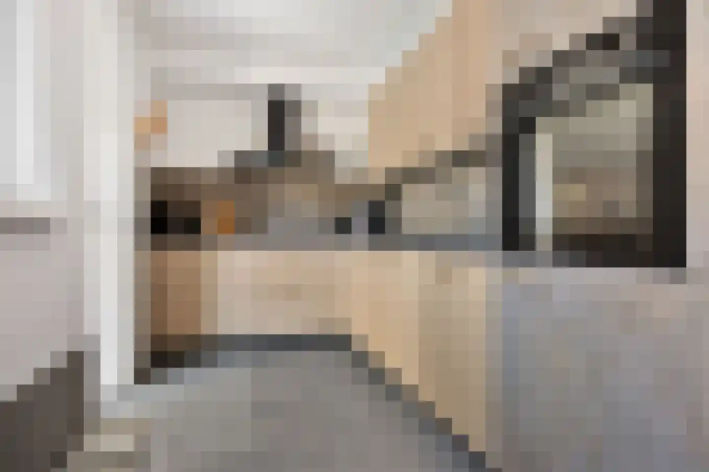 De Skeauwen 41 Ureterp thumbnail 13