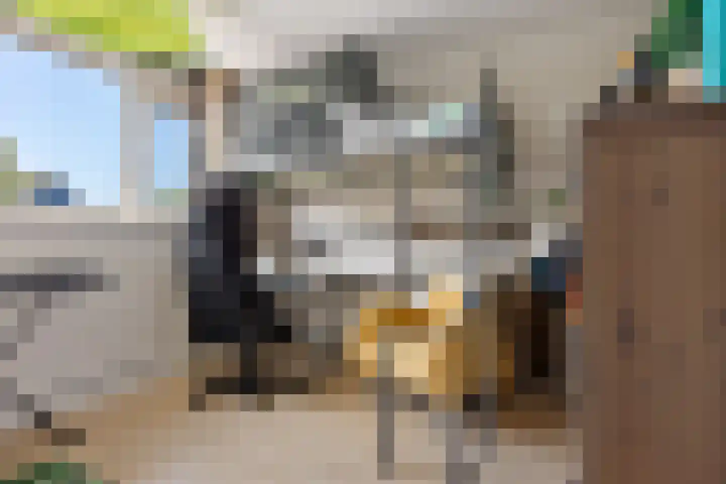 De Skeauwen 41 Ureterp thumbnail 26