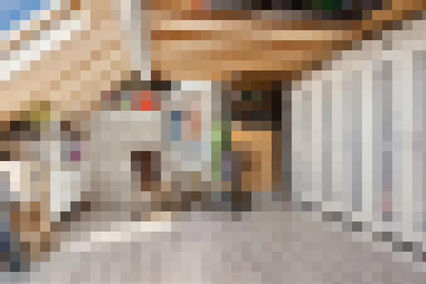 De Skeauwen 41 Ureterp thumbnail 32